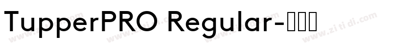 TupperPRO Regular字体转换